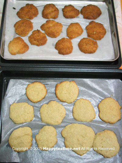 20050827_ginger_cookie08